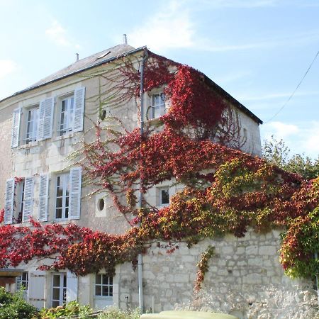 Vila Gite Au Calme Avec Jardin Et Wifi A La Roche-Posay - Fr-1-541-52 Exteriér fotografie